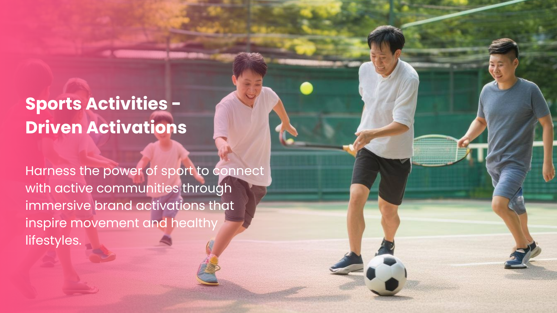 Image Collection (1)-1